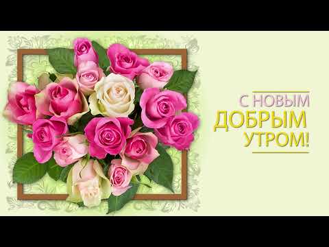 💗💛С новым добрым утром!💗💛С новым чудесным днем! #доброеутро #сдобрымутром