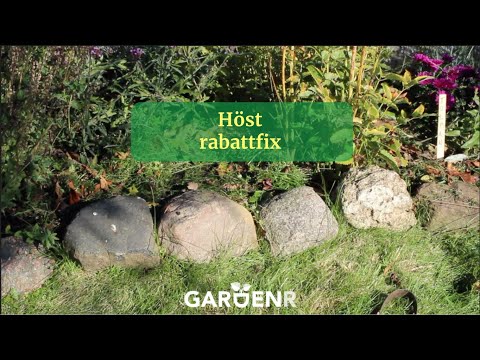 Höst-Rabattfix - Trädgårdshacks med GardenR