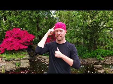 What a Wonderful World  - Sign Language