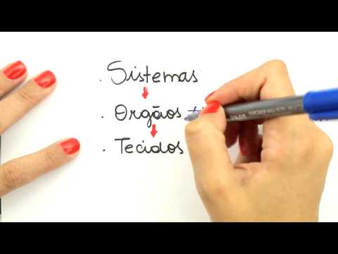 Me Salva! Extensivo de Biologia - FHA01 - Introdução à Fisiologia