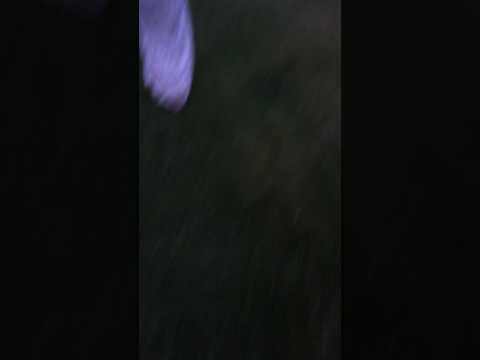 Godmorgon! Överraskning!