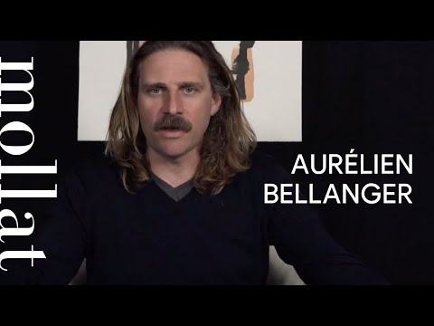 Aurélien Bellanger - Téléréalité