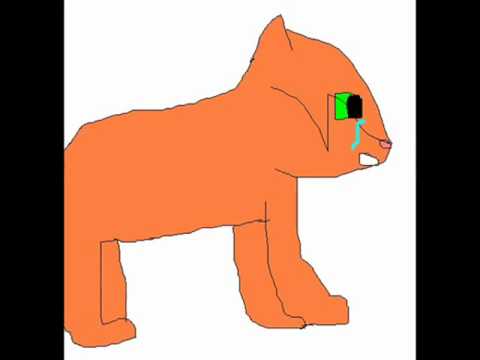 Warrior Cats: Firepaw and Spottedleaf - Give it Away