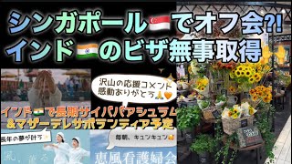 [藤井風]ファンオフ会@シンガポール🇸🇬?! 一粒万倍日✨めっちゃハラハラしたインド🇮🇳ビザ無事取得🙌 #fujiikaze #india 