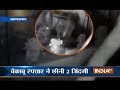 Over speeding SUV takes life of 2 teenagers in Vastrapur, Ahmedabad