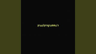 Peter Migchelbrink - Praatprogramma's video
