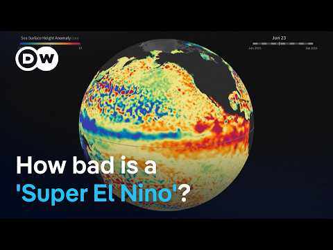 'The strongest El Nino in living memory' | DW News
