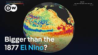 'The strongest El Nino in living memory' | DW News