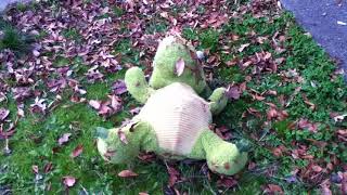 Roadkill Victim: EXTRA!!  Dec 14, 2017 Seattle driver sought for DUI, Hit & Run