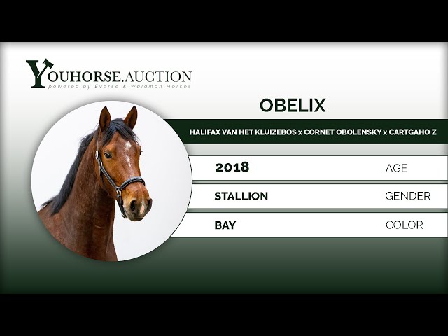 Obelix Jumping