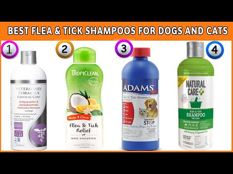 Best Flea Shampoo for Dogs And Cats - Dog Flea & Tick Shampoo Reviews