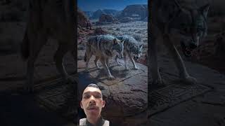 Download lagu HAMPIR DI SERANG SRIGALA‼️ mp3