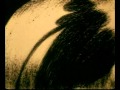 The Fly Oscar Short Animated Film 1980