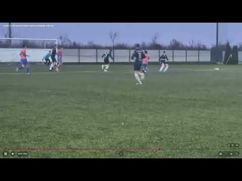 Video-Miniaturansicht