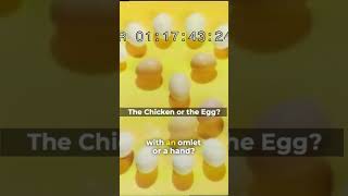 Sesame Street - The Chicken Or The Egg? #sesamestreet #kidsvideo #shorts