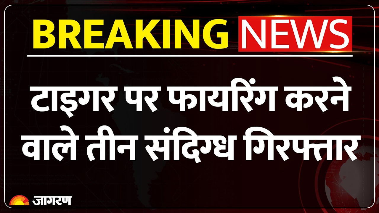 Tiger Shroff Firing Case Shooter's Arrested: टाइगर पर हमले के 3 शूटर राजस्थान के कोटा से गिरफ्तार |