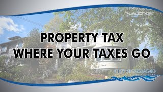 Property Taxes: Where do your tax dollars go?