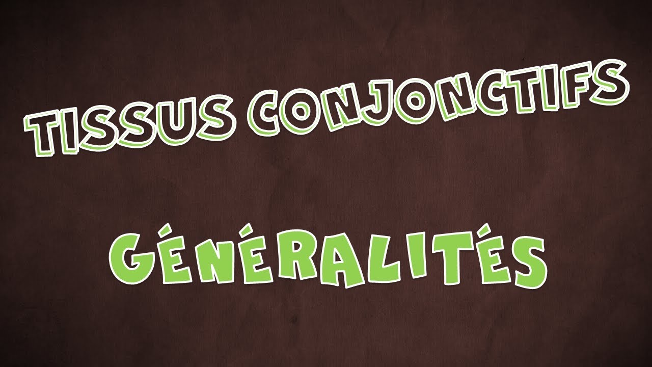 Le Tissu Conjonctif - Généralités
