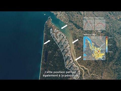 EN| Terroir of the Médoc