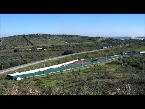 Comboio Internacional n.º 89730 - Elvas