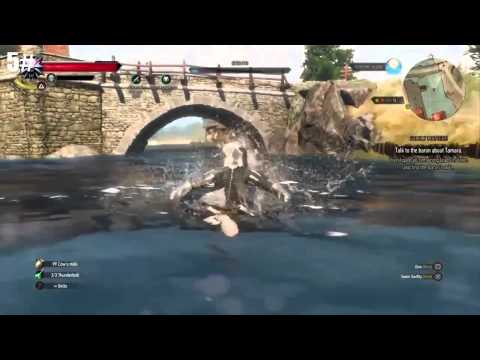 The witcher 3: wild hunt | Top 7 bugs