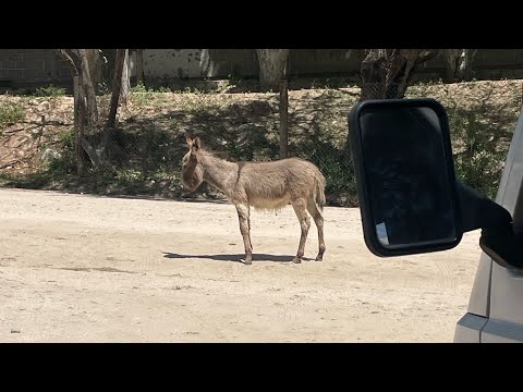Andalgala, Saujil. Catamarca.