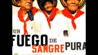 Los Gaiteros de San jacinto.  Un fuego de Sangre Pura