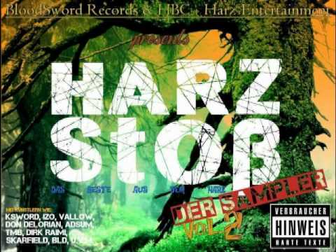 Harz Stoß 2 Snippet.wmv