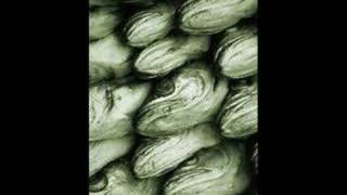 Fish Heads The Movie