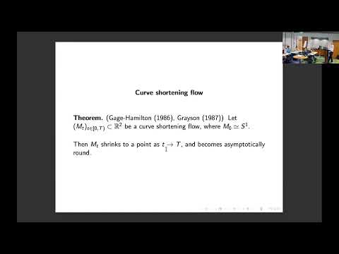 Bruce KLEINER   Mean curvature flow in R^3 and the Multiplicity One Conjecture, II