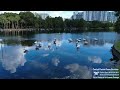 Stunning 4K Drone Tour Of Lake Eola Park Downtown Orlando Florida Skyline Swans