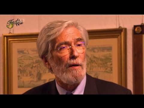 Daniel Gouveia    “A Luz do castelo Picão”