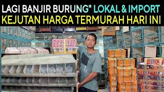 Download lagu 🔴 BARU BONGKAR BURUNG LOKAL & IMPORT DI KIOS LANGGENG JAYA PASAR BURUNG PRAMUKA HARI INI mp3 Download lagu 🔴 BARU BONGKAR BURUNG LOKAL & IMPORT DI KIOS LANGGENG JAYA PASAR BURUNG PRAMUKA HARI INI mp3