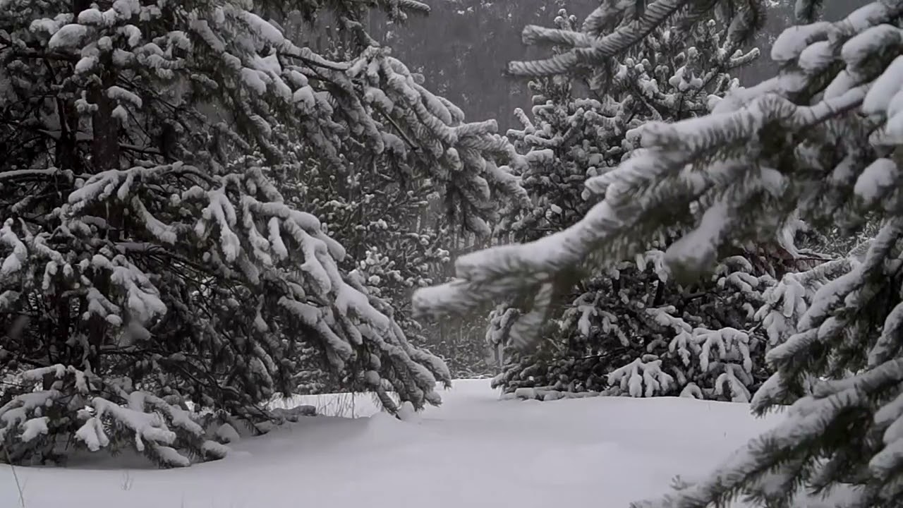 ❄Whispers of Winter ❄ | Ambient/Healing MTV 528Hz: Peaceful, Healing, Reflective #528hz  #solfeggio