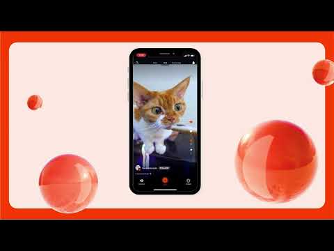 Furrend video preview