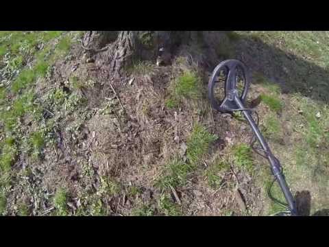 One tree, one ring :-) . Xp Gmaxx II, Metal detecting, Tresure hunting, hledání detektorem kovů.