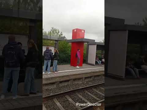 Nürnberg Regional bahn Linie RB21 von Gräfenberg nach Nürnberg Nordost. Am 25.09.2025. Teil 04.