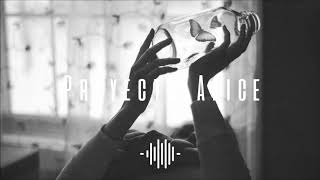 Varjen - Shoreline Weeks (New Indie/Folk)