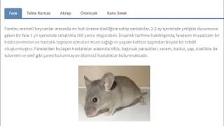 Ankara Böcek İlaçlama