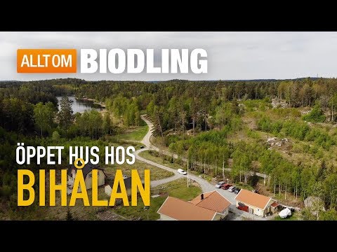 Öppet Hus hos Bihålan
