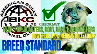 ABKC Breed Standard Pt 2 | American Bully Conformation Description Breed Type | How do Bullies look?