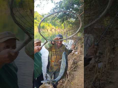 Pesca de barranco no rio preto MG #rio #pescaria #shorts