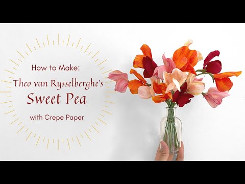 Painter's Flower Collection -  Theo van Rysselberghe's SWEET PEA