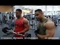 Bodybuilding Biceps Training @hodgewins