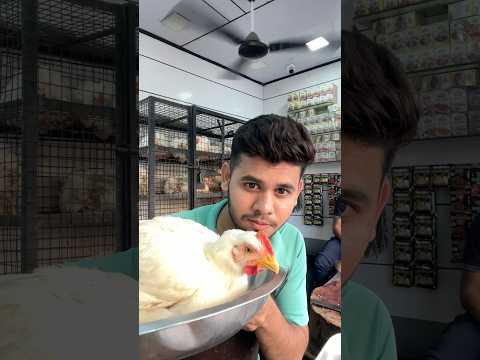 Chicken 🐓 ne liya badla 😫……….#viral #foryou #dailyvlog #trending #shorts #chicken