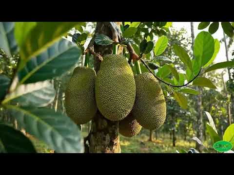 Once You Taste It, You Can’t Stop! 🤤🍟 | Pavi’s Food