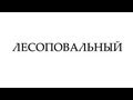 Поэт без усов - Владимир Владимирович Лесоповальный (Live) 