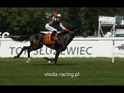 Gon. IV (N. Rulera) - 20.05.2018 - Fabulous Las Vegas (Air Chief Marshal - Coleene)