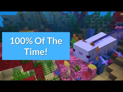 How to get the blue axolotl 100% of the time on Minecraft
