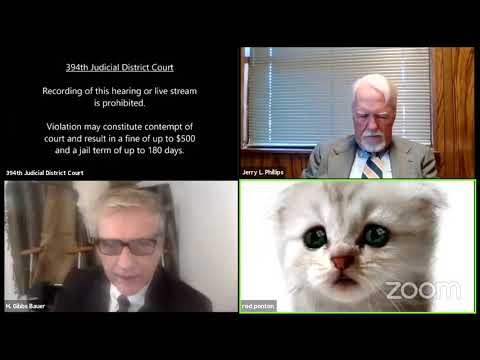 Video of lawyer unable to remove cat filter during virtual Zoom court appearance going viral